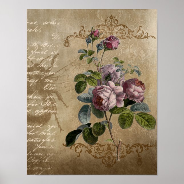 Poster Roses vintages avec script. (Devant)