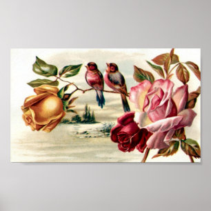 Poster Roses vintages d'oiseau de dossier