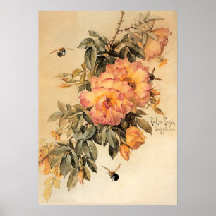 Poster Roses vintages et bourdons