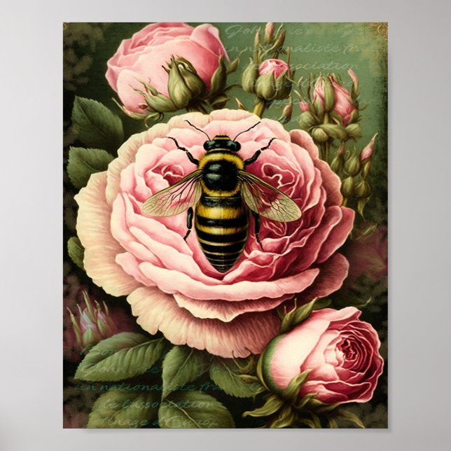 Poster Roses vintages et reine Bee (Devant)
