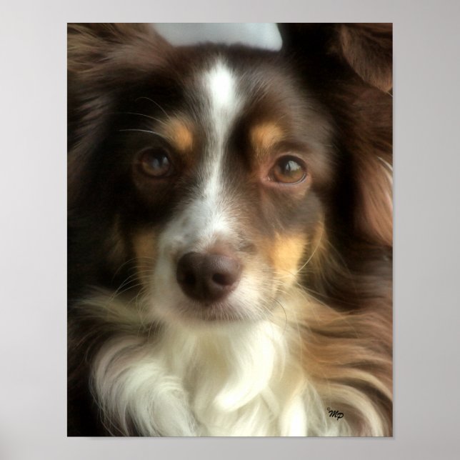 Poster Rosie-closeup (Devant)