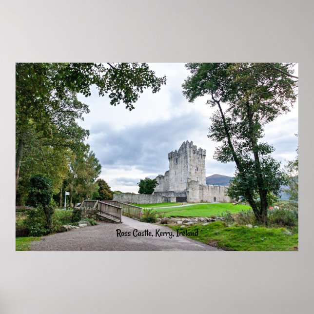 Poster Ross Castle, Kerry, Irlande, Carte postale (Devant)