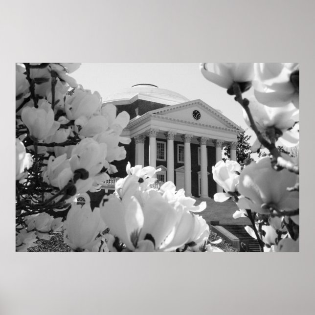 Poster Rotonde et fleurs (Devant)