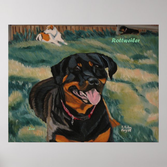 Poster Rottweiler 2 (Devant)