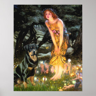 Poster Rottweiler (#3) - Veille de la Saint-Jean
