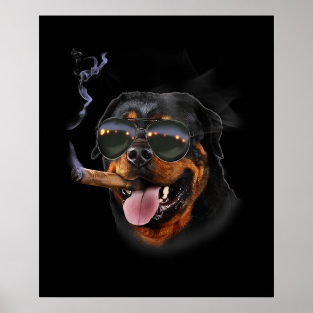 Poster Rottweiler avec Cigar Portant Avion Sunglass (Devant)