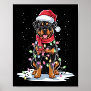 Poster Rottweiler Chien Santa Chapeau Noël Arbre Lumière 