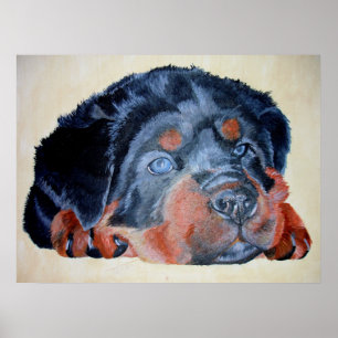 Poster Rottweiler Chiot Artistique Portrait pour Animaux