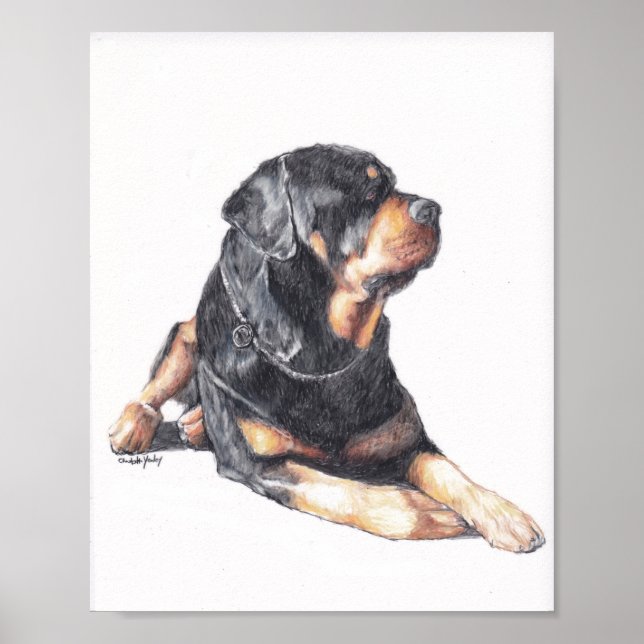Poster Rottweiler Laying Dog Art Print (Devant)