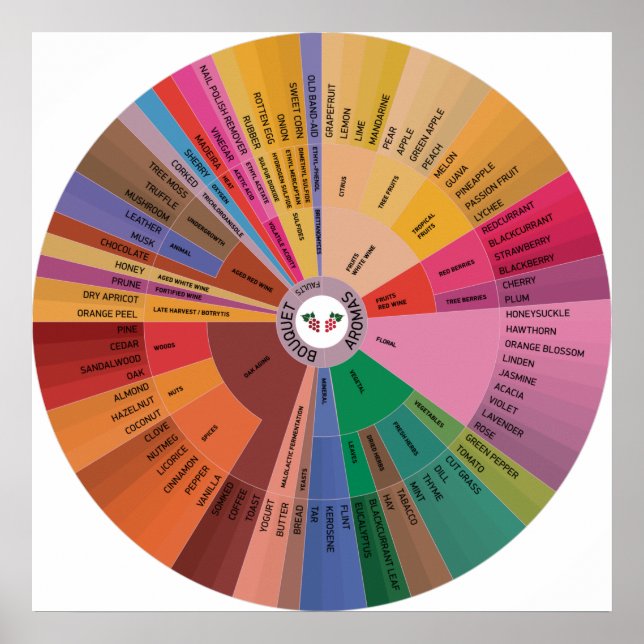 Poster Roue Aroma Vin (Devant)