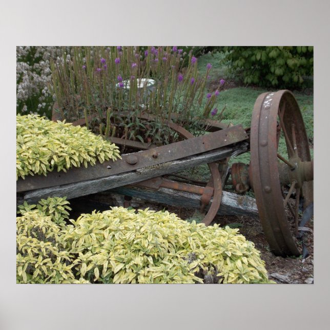 Poster Roues vintages (Devant)