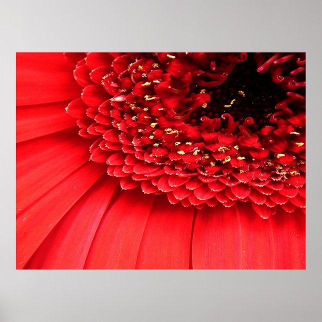 Poster Rouge (Devant)