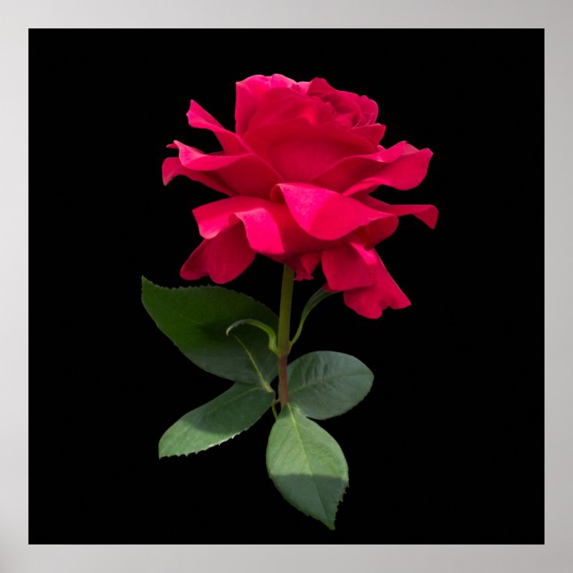 Poster Rouge (Devant)