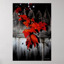 Rouge d'automne