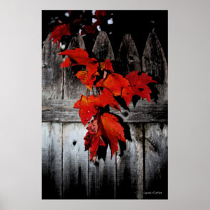 Poster Rouge d'automne