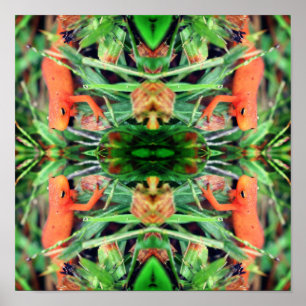 Poster Rouge Eft Orange Salamander Miroir Abstrait