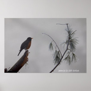 Poster Rouge-gorge en hiver