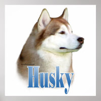 Poster rouge Sibérien Husky