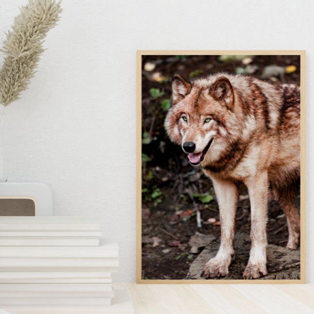 Poster Rouge Wolf Style Cabine Photo moderne (Créateur téléchargé)
