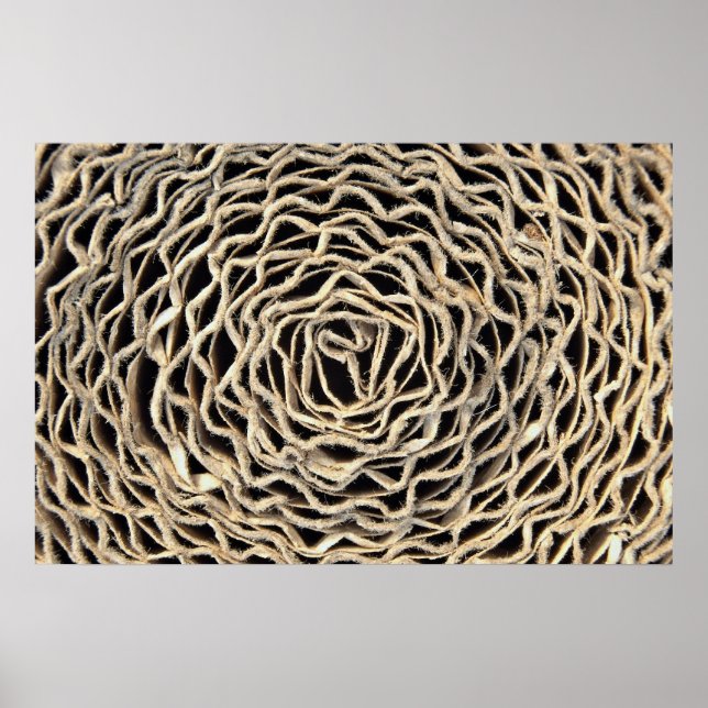 Poster Rouleau de papier ondulé (Devant)