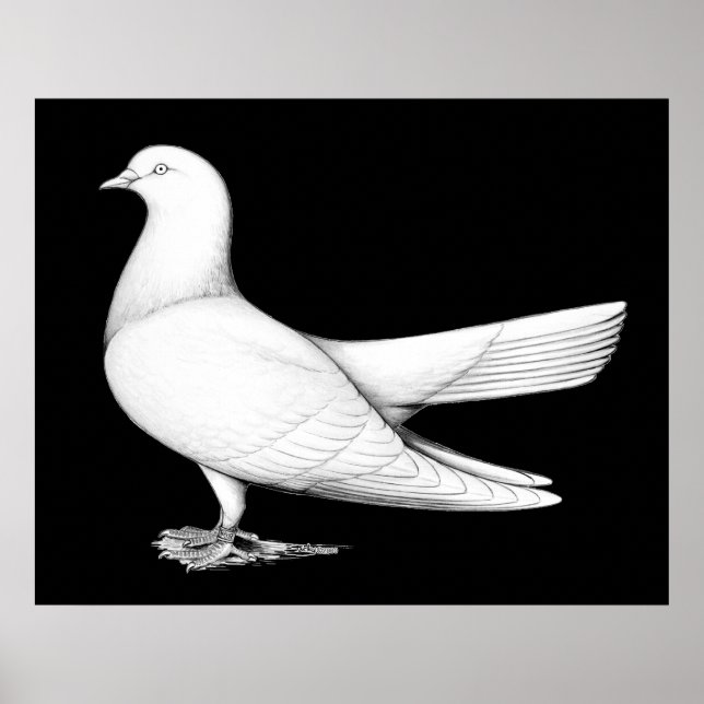 Poster Rouleau Oriental : Type de vol (Devant)