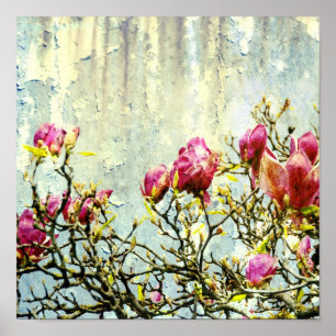 Poster Rousty Magnolia