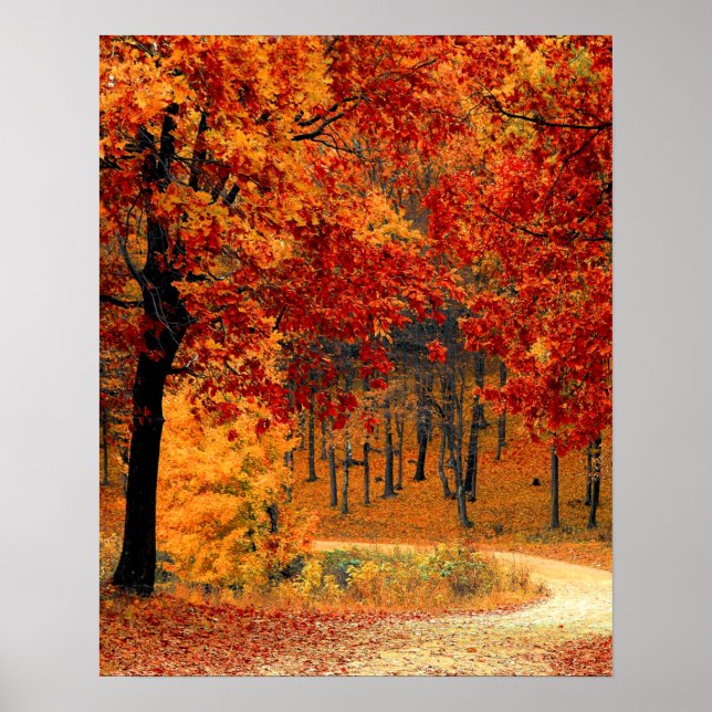 Poster Route d'automne (Devant)