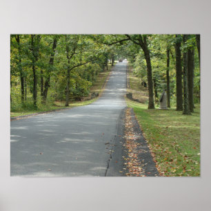 Poster Route de campagne à travers les arbres Wall art.