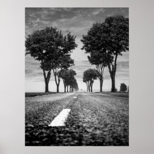 Poster Route de campagne avec perspective bordée d'arbres