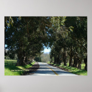 Poster Route de campagne bordée d'arbres