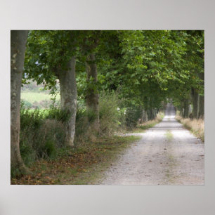 Poster Route de campagne en terre près de la ville de