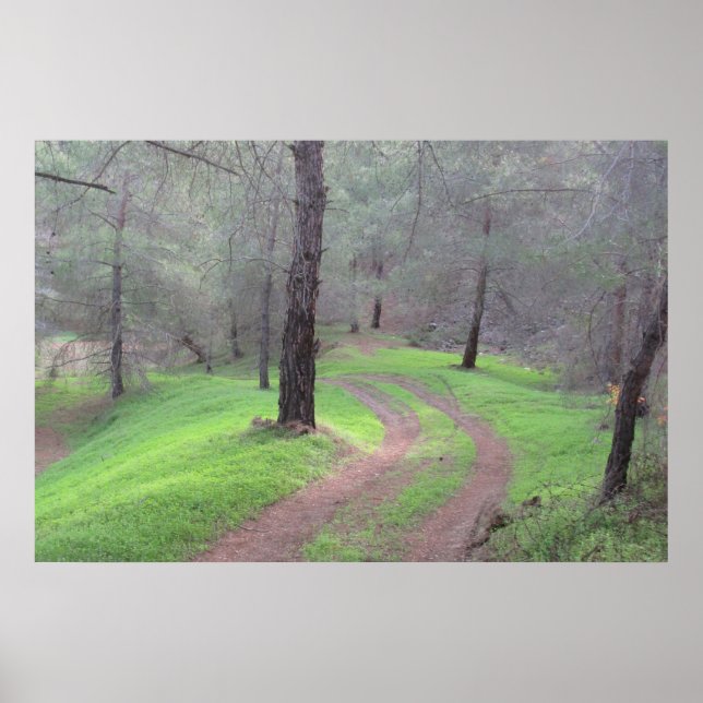 Poster Route de la Pine Forest (Devant)