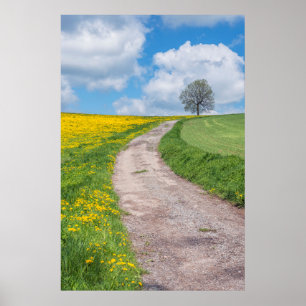 Poster Route de terre et arbre