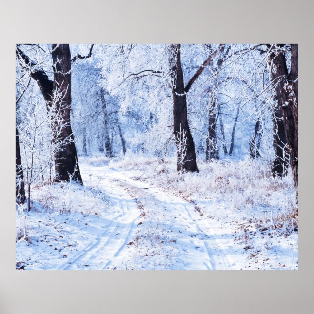 Poster Route d'hiver (Devant)