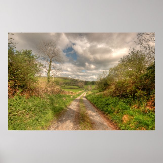 Poster Route d'Irlande rurale (Devant)