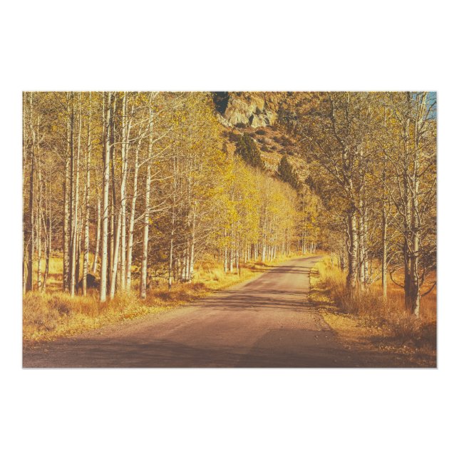 Poster Route d'or (Devant)