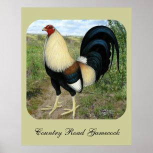 Poster Route Pays Gamecock
