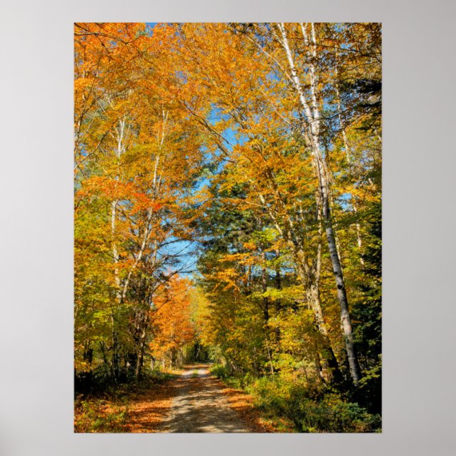 Poster Route rurale Automne Colonnes New Hampshire (Devant)