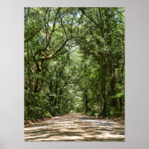 Poster Route Vers Angel Oak