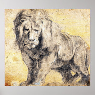 Poster Rubens - Lion