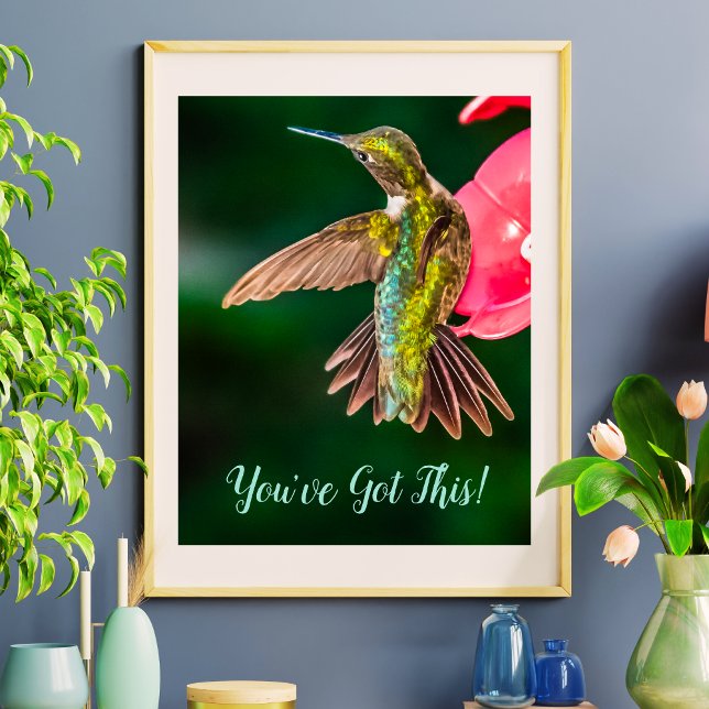 Poster Ruby Throated Hummingbird Vous avez cette citation (Ruby Throated Hummingbird You've Got This Quote Poster)