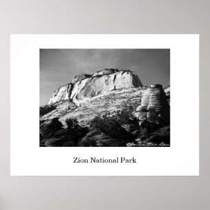 Poster ruche et monolithe