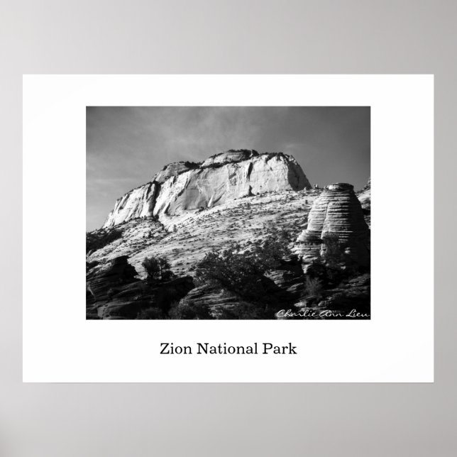 Poster ruche et monolithe (Devant)