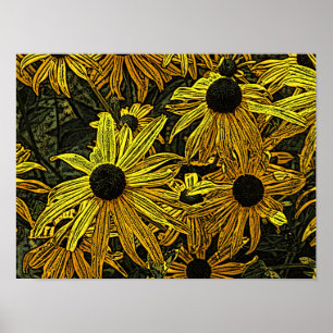 POSTER RUDBECKIAS