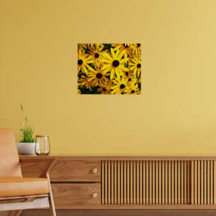Poster Rudbeckias Floral Jaune à Oeil Noir