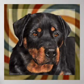 Poster ruger