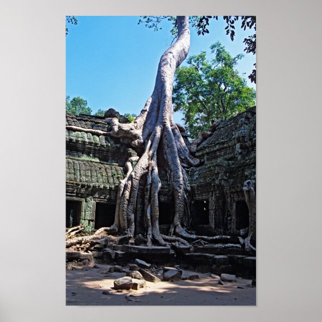 Poster Ruine de Ta Prohm - Angkor Vat, Cambodge, Asie (Devant)