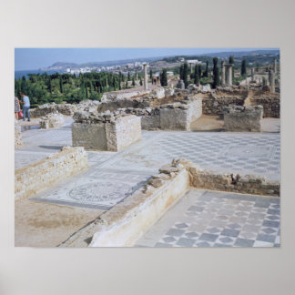 Poster Ruines romaines du port d'Emporion