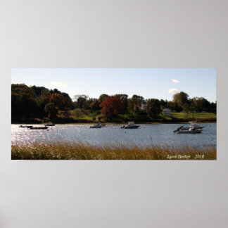 Poster Ruisseau