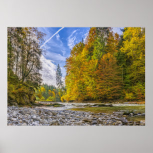 Poster Ruisseau